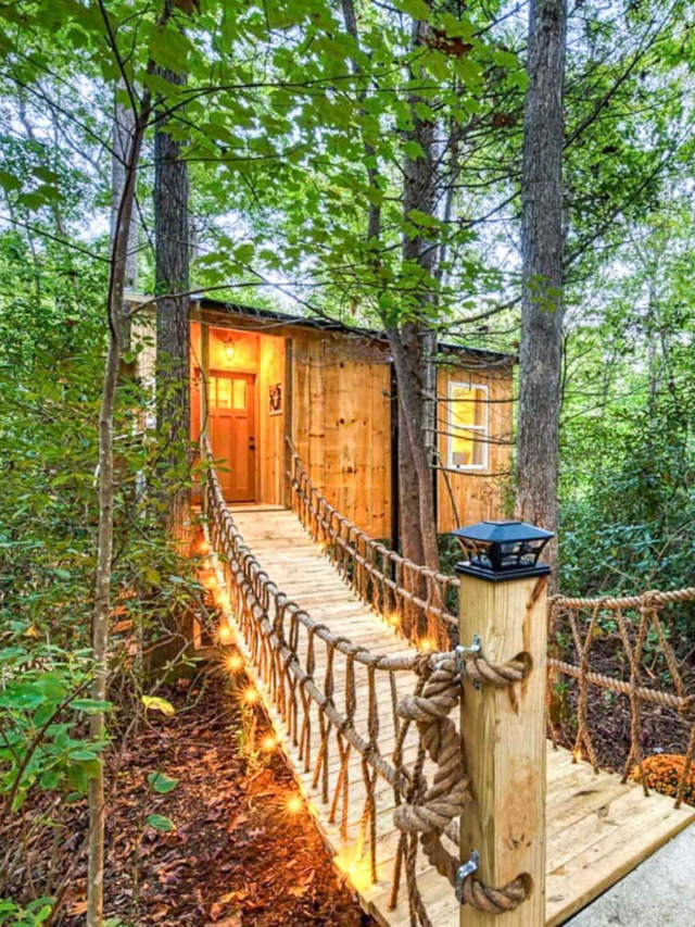 Best Treehouses in North Carolina