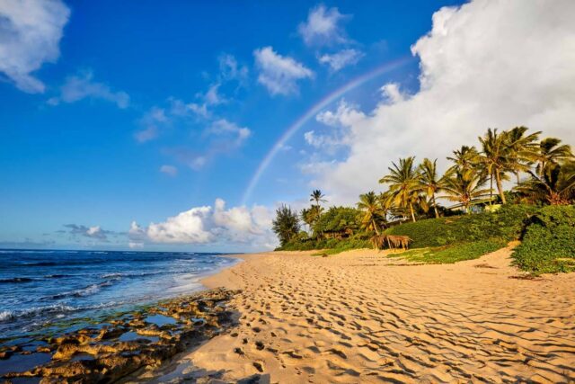 The 10 Best Beaches On The North Shore Of Oahu Hawaii