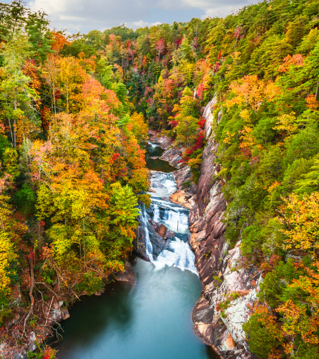 Bird's eye view of Tallulah Gorge State Park during the fall, showing colorful fall leaves around the river