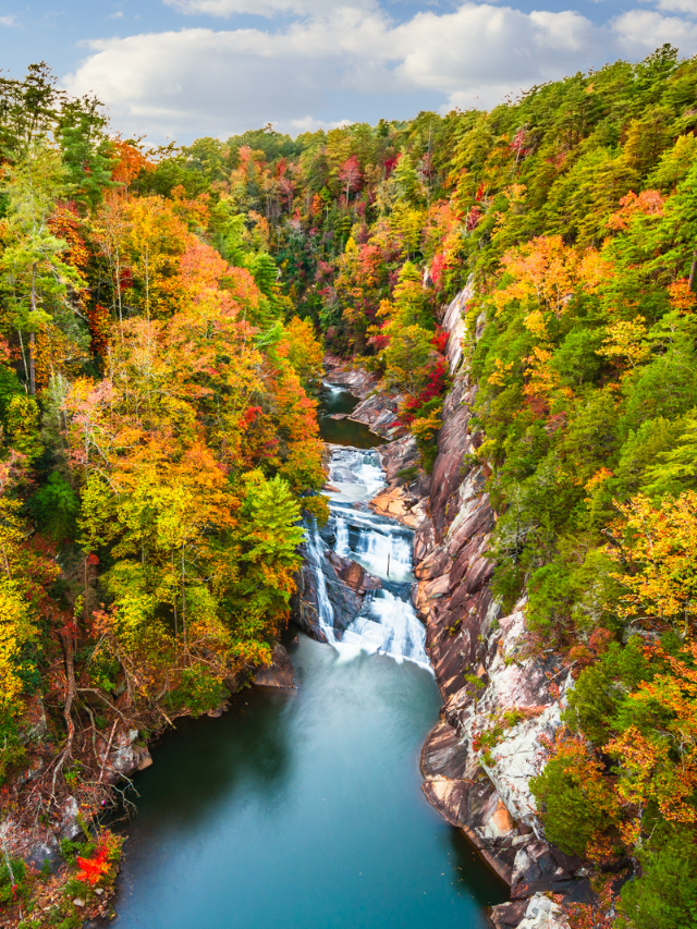 The Best Places to Visit in the Fall in Georgia