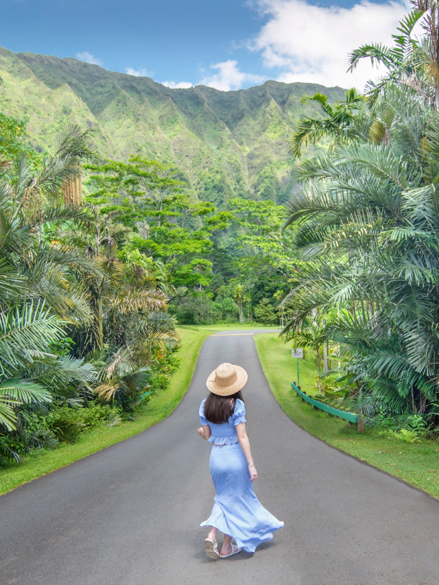 Free Activities on Oahu, Hawaii