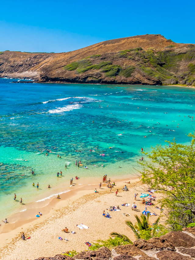 The Best North Shore Beaches on Oahu, Hawaii