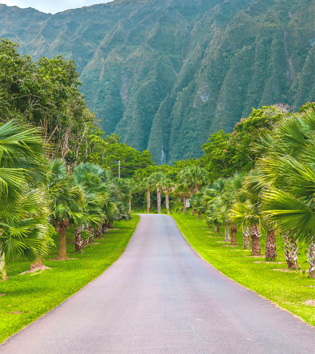 View of the entrance to Ho'omaluhia Botanical Garden in Oahu, surrounded by palm trees and greenery