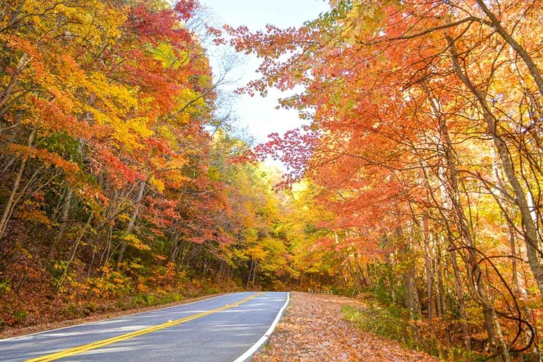 The 20 Best Fall Activities in Georgia: Pumpkin Patches, Festivals, & More!