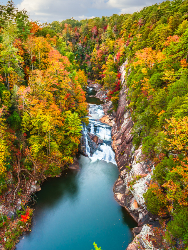 A bird's-eye view of Tallulah Gorge State Park in Georgia during the fall, surrounded by the vibrant hues of autumn leaves and the foliage that blankets the area.