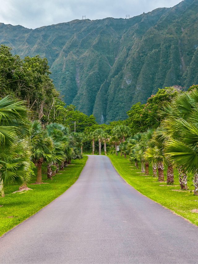 View of the main road into Ho'omaluhia Botanical Garden, one of the best free places to visit on the island